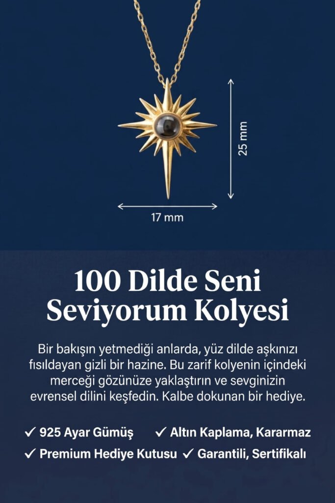 100 Dilde Seni Seviyorum Kutup Yıldızı 925 Ayar Gümüş Kolye | 18 Ayar Vermeil Premium Sarı Altın Kaplama