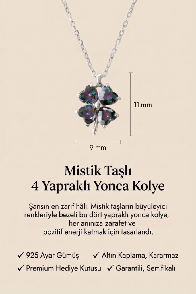 Mistik Taşlı 4 Yapraklı Yonca 925 Ayar Gümüş Kolye | 18 Ayar Vermeil Premium Beyaz Altın Kaplama