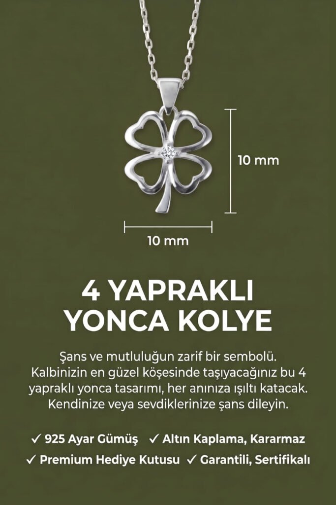 Tek Taşlı 4 Yapraklı Yonca 925 Ayar Gümüş Kolye | 18 Ayar Vermeil Premium Beyaz Altın Kaplama